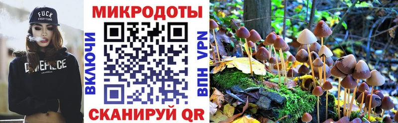 Псилоцибиновые грибы Cubensis  даркнет сайт  ОМГ ОМГ   Дюртюли 